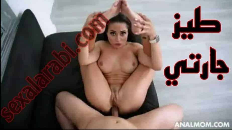 سكس مترجم طيز جارتي الضيق  سكس  نيك شرالأمط  طيز مترجم – anal fuck