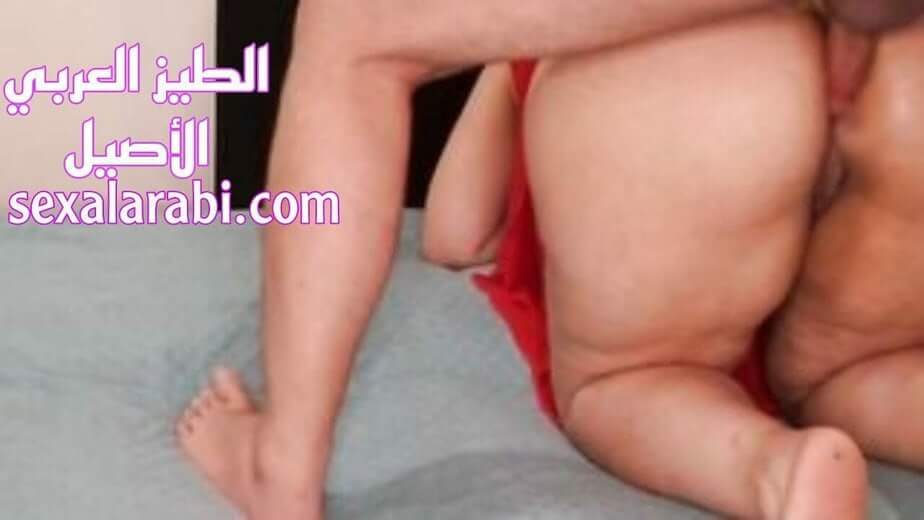 نيك شرالأمط  طيز عربي اصيل