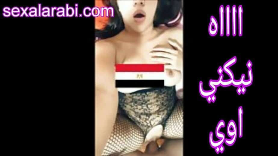 تتناك وبتصور نفسها  سكس عربي مصري