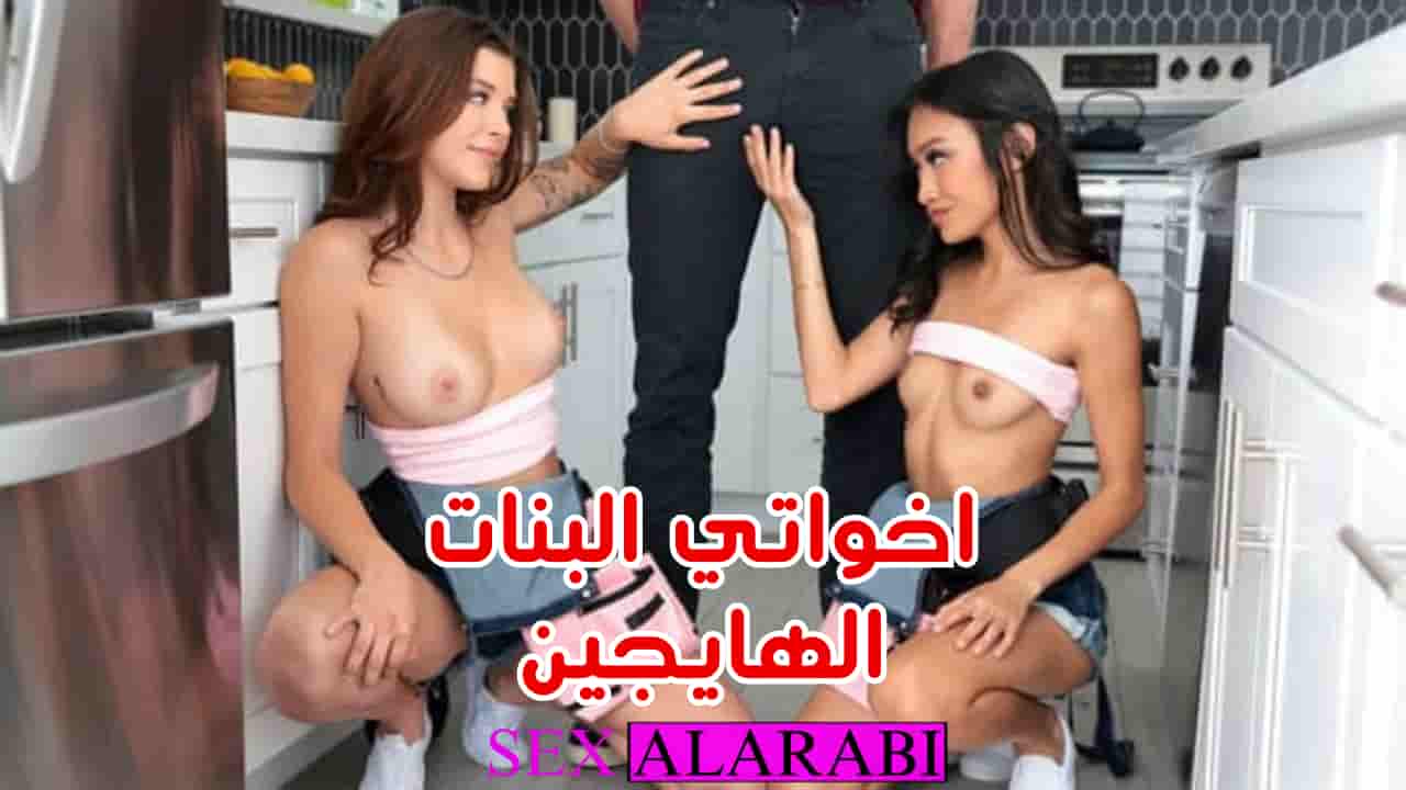 اخواتي البنات هايجين على ال سكس –  سكس مترجم –  سكس اخوات –  مشاهدة xnxx  sisters 2024